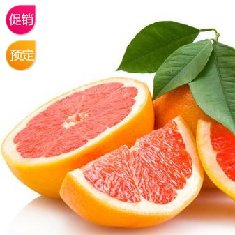 沱沱工社 全场返现金券活动